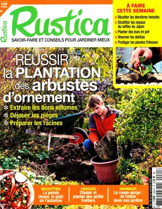 Rustica