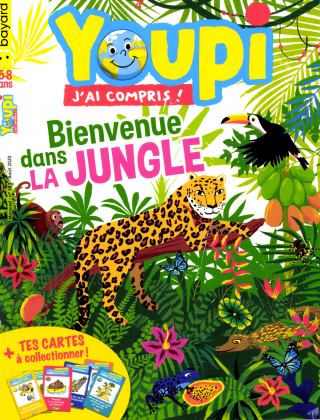 YOUPI J'AI COMPRIS ( pour un retrait en librairie ou à l'école )