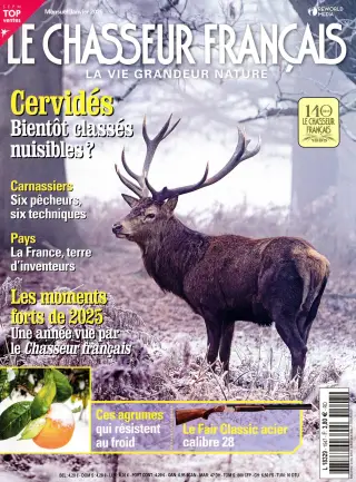 Le chasseur français