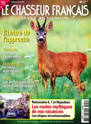 Le chasseur français