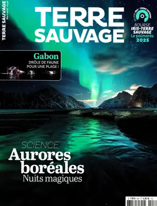 Terre Sauvage